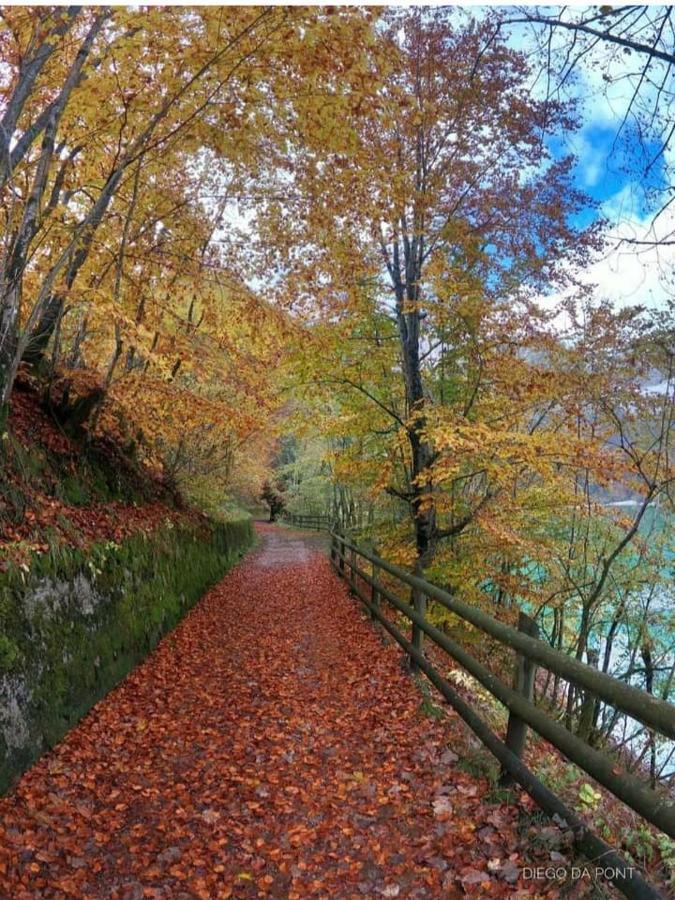Colori Nel Parco Daire Cesiomaggiore Dış mekan fotoğraf