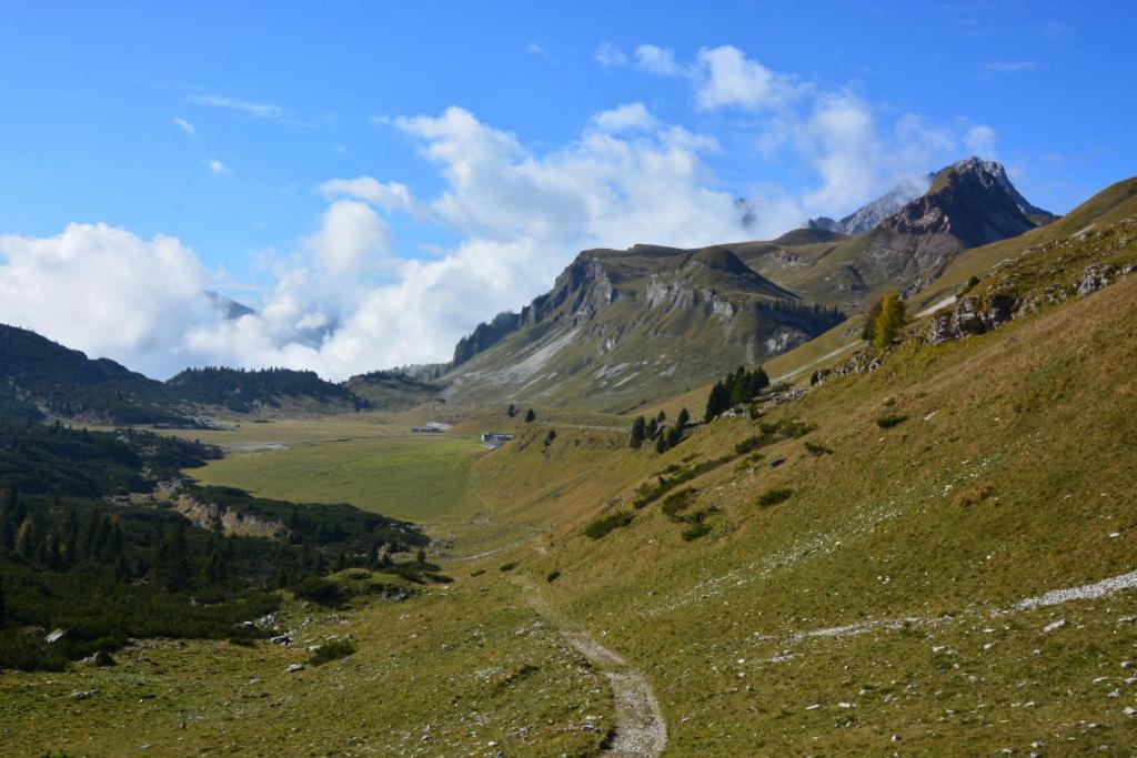 Colori Nel Parco Daire Cesiomaggiore Dış mekan fotoğraf